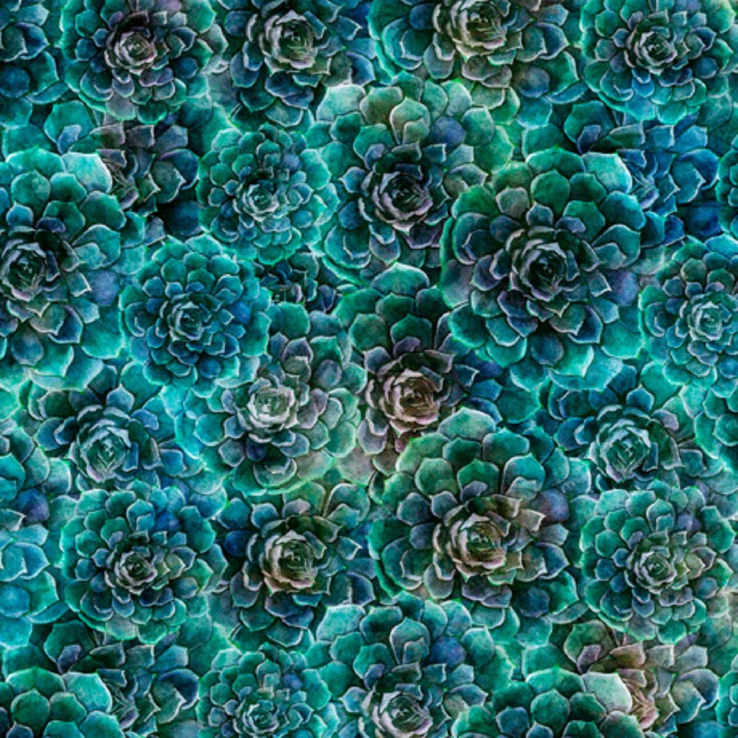 Blossom Succulents Fabric QT Fabrics - Dan Morris - Priced By the 1/2 Yard - Cut continuously
