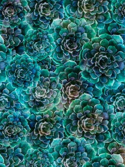 Blossom Succulents Fabric QT Fabrics - Dan Morris - Priced By the 1/2 Yard - Cut continuously