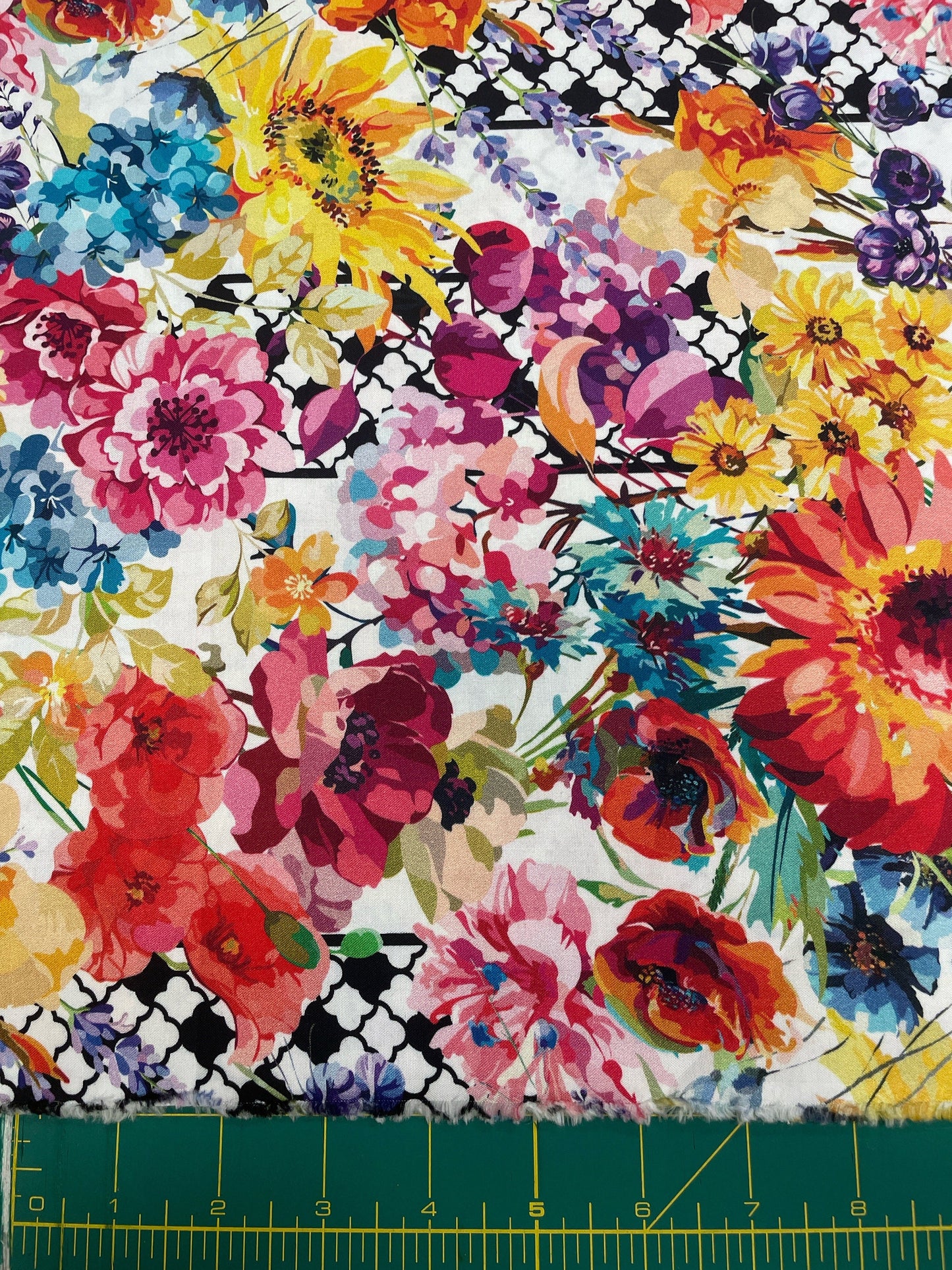 Hummingbird Lane   In the Beginning Fabric   Border print   By the Half yard Cut continuously