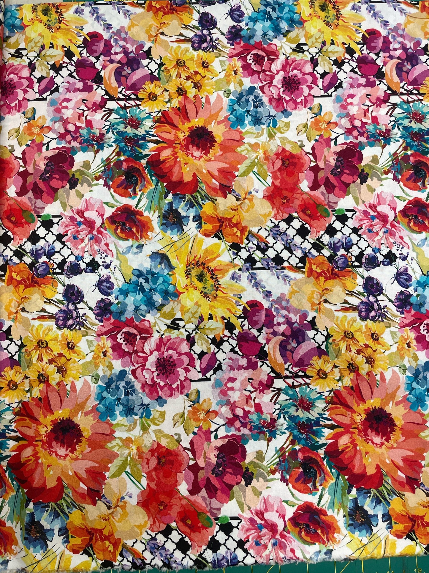 Hummingbird Lane   In the Beginning Fabric   Border print   By the Half yard Cut continuously